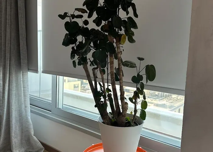 Zeus Downtown Hub With Panoramic View ניקוסיה